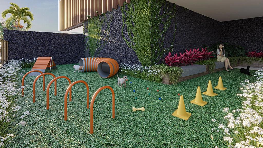 Galeria 11